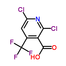 cas no 503437-19-2 is 2,6-dichloro-4-(trifluoromethyl)nicotinic acid