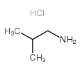 cas no 5041-09-8 is 2-methylpropan-1-amine,hydrochloride