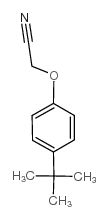 cas no 50635-24-0 is 2-(4-tert-butylphenoxy)acetonitrile