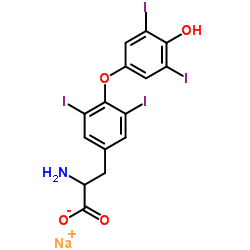 cas no 50809-32-0 is Sodium thyroxinate