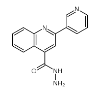 cas no 5109-97-7 is 2-PYRIDIN-3-YL-QUINOLINE-4-CARBOXYLIC ACID HYDRAZIDE