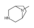 cas no 51102-42-2 is 8-methyl-3,8-diazabicyclo[3.2.1]octane