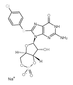 cas no 51239-26-0 is 8-(4-CHLOROPHENYLTHIO)GUANOSINE 3',5'-CYCLIC MONOPHOSPHATE SODIUM SALT
