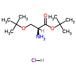 cas no 51537-21-4 is H-Ser(tBu)-OtBu.HCl