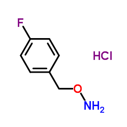 cas no 51572-89-5 is O-(4-FLUOROBENZYL)HYDROXYLAMINE HYDROCHLORIDE
