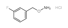 cas no 51572-90-8 is 1-[(Aminooxy)methyl]-3-fluorobenzene hydrochloride