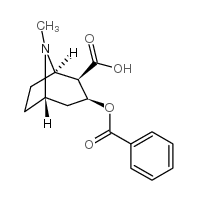 cas no 519-09-5 is benzoylecgonine