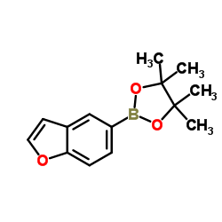 cas no 519054-55-8 is 5-(4,4,5,5-tetramethyl-1,3,2-dioxaborolan-2-yl)-1-benzofuran