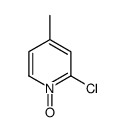 cas no 52313-61-8 is 2-CHLORO-4-METHYLPYRIDINE 1-OXIDE