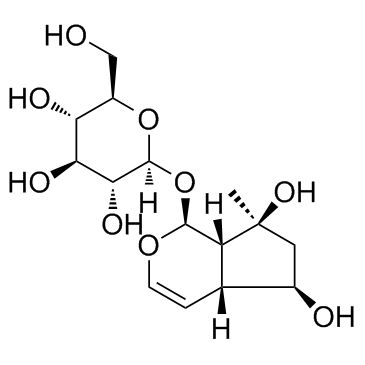 cas no 52949-83-4 is Ajugol