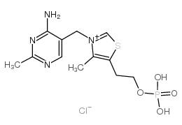 cas no 532-40-1 is monophosphothiamine