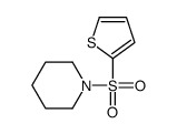 cas no 53442-04-9 is 1-thiophen-2-ylsulfonylpiperidine