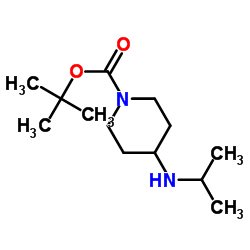 cas no 534595-51-2 is 1-BOC-4-(ISOPROPYLAMINO)PIPERIDINE