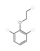 cas no 53491-29-5 is 2,6-DICHLORO-(2-CHLOROETHOXY)BENZENE