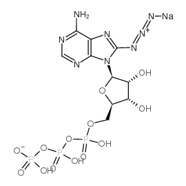 cas no 53696-59-6 is 8-Azido-ATP