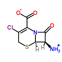 cas no 53994-69-7 is 7-Amino-3-chloro cephalosporanic acid