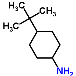 cas no 5400-88-4 is 4-t-butylcyclohexylamine