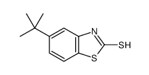 cas no 54237-37-5 is 2(3H)-Benzothiazolethione,5-(1,1-dimethylethyl)-(9CI)