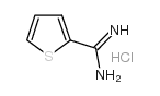 cas no 54610-70-7 is 2-amidinothiophene hydrochloride