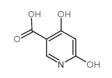 cas no 5466-62-6 is 4,6-Dihydroxynicotinic acid