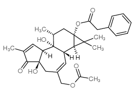 cas no 54662-30-5 is 12-deoxyphorbol 13-phenylacetate 20-acetate