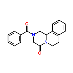 cas no 54761-87-4 is 2-BENZYL-1,2,3,6,7,11B-HEXAHYDRO-4H-PYRAZION[2,1-A]ISOQUINOLINE-4-ONE