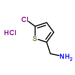 cas no 548772-41-4 is (5-chlorothiophen-2-yl)methanamine hydrochloride