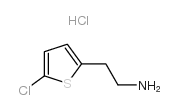 cas no 548772-42-5 is 2-(5-Chlorothiophen-2-yl)ethanamine hydrochloride