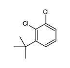 cas no 54932-64-8 is 1,2-Dichloro(1,1-dimethylethyl)benzene
