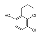 cas no 54932-67-1 is 3,4-dichloro-2-propylphenol