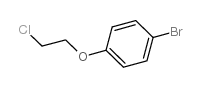 cas no 55162-34-0 is 1-bromo-4-(2-chloroethoxy)benzene
