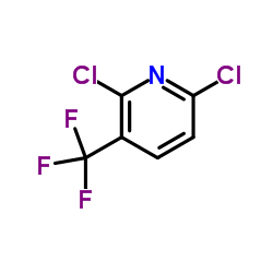 cas no 55304-75-1 is 2,6-Dichloro-3-trifluoromethylpyridine