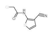 cas no 55654-19-8 is 2-CHLORO-N-(3-CYANO-THIOPHEN-2-YL)-ACETAMIDE