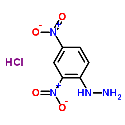 cas no 55907-61-4 is 2,4-Dinitrophenyl hydrazine hydrochloride
