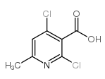cas no 56022-07-2 is 2,4-dichloro-6-methylnicotinic acid