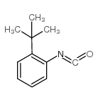 cas no 56309-60-5 is 1-tert-butyl-2-isocyanatobenzene