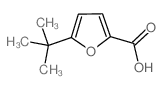 cas no 56311-39-8 is 5-(TERT-BUTYL)FURAN-2-CARBOXYLIC ACID