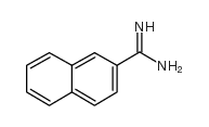 cas no 5651-14-9 is NAPHTHALENE-2-CARBOXAMIDINE