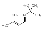cas no 56637-64-0 is n-tert-butyl-3-methyl-2-butenaldimine