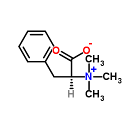 cas no 56755-22-7 is L-phenylalanine &beta;ine