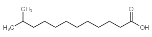 cas no 5681-98-1 is 11-Methyllauric acid