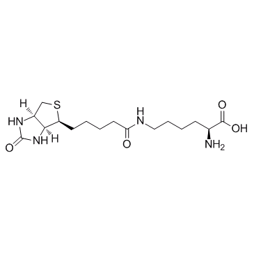 cas no 576-19-2 is Biocytin