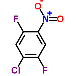 cas no 578-28-9 is 1-Chloro-2,5-difluoro-4-nitrobenzene