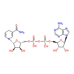 cas no 58-68-4 is NADH
