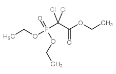 cas no 5823-12-1 is triethyl 2,2-dichloro-2-phosphonoacetate
