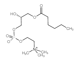 cas no 58445-96-8 is 1-hexanoyl-2-hydroxy-sn-glycero-3-phosphocholine