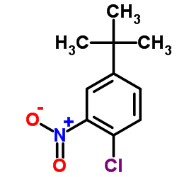 cas no 58574-05-3 is 4-tert-Butyl-1-chloro-2-nitrobenzene