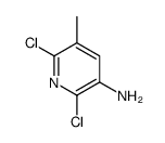 cas no 58596-89-7 is 2,6-dichloro-5-methylpyridin-3-amine