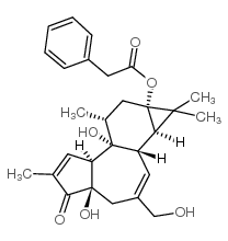 cas no 58821-98-0 is 12-deoxyphorbol 13-phenylacetate