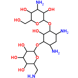 cas no 59-01-8 is kanamycin